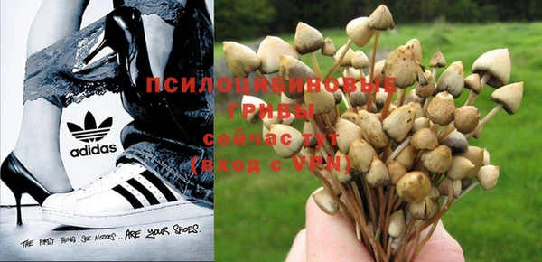 прущая мука Арсеньев