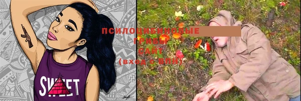 прущая мука Арсеньев