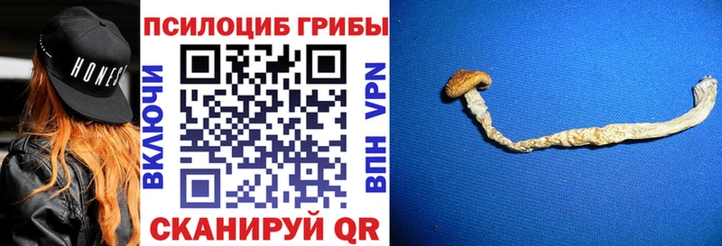 Галлюциногенные грибы ЛСД  даркнет сайт  Петухово 